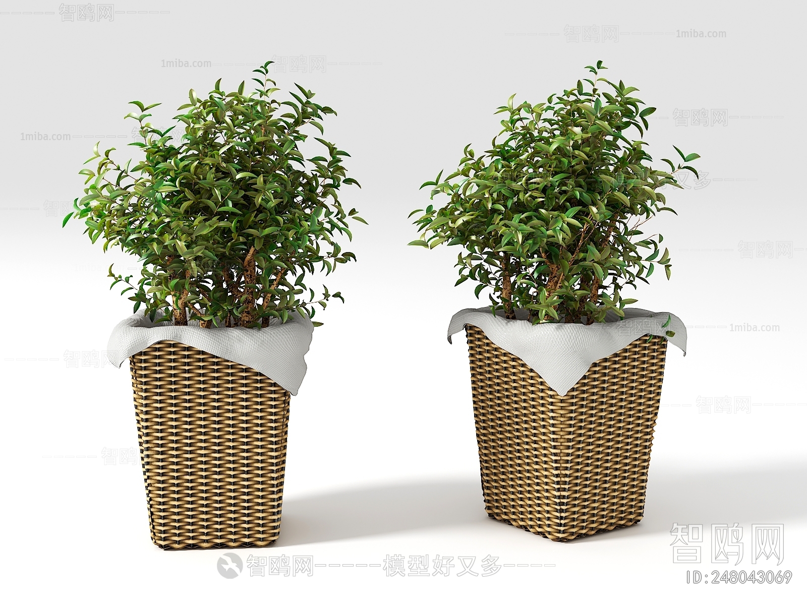 Nordic Style Ground Green Plant Potted Plants