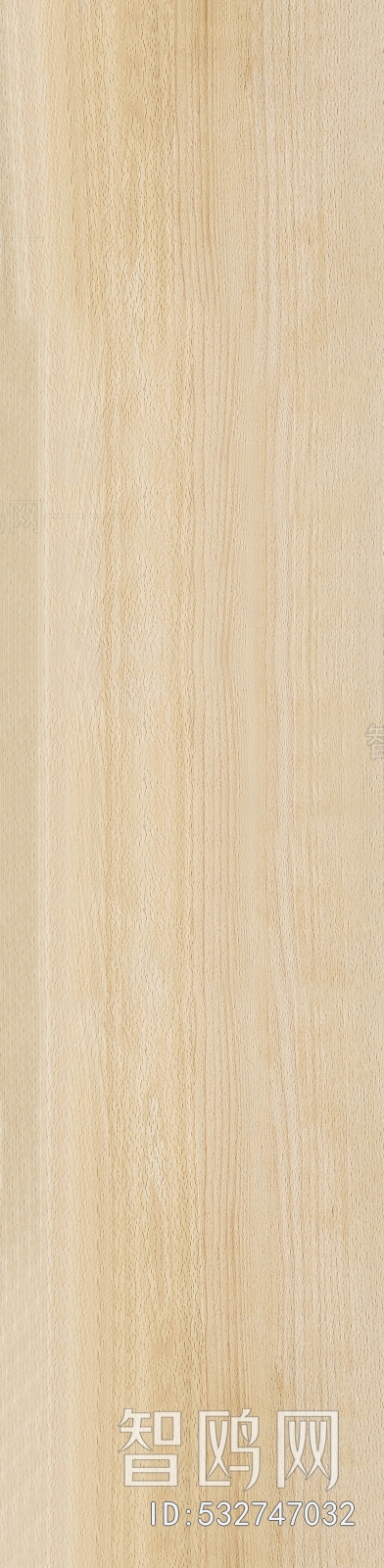 Wood Texture