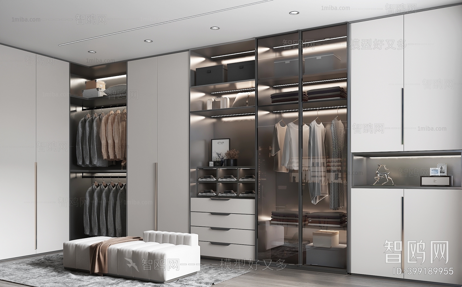 Modern Clothes Storage Area