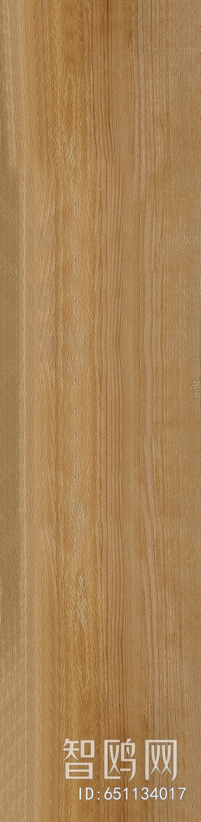 Wood Texture