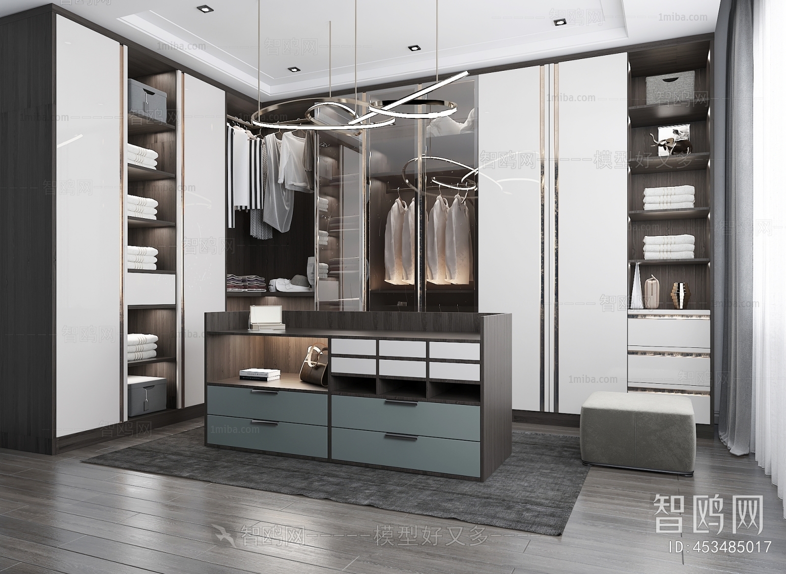 Modern Clothes Storage Area