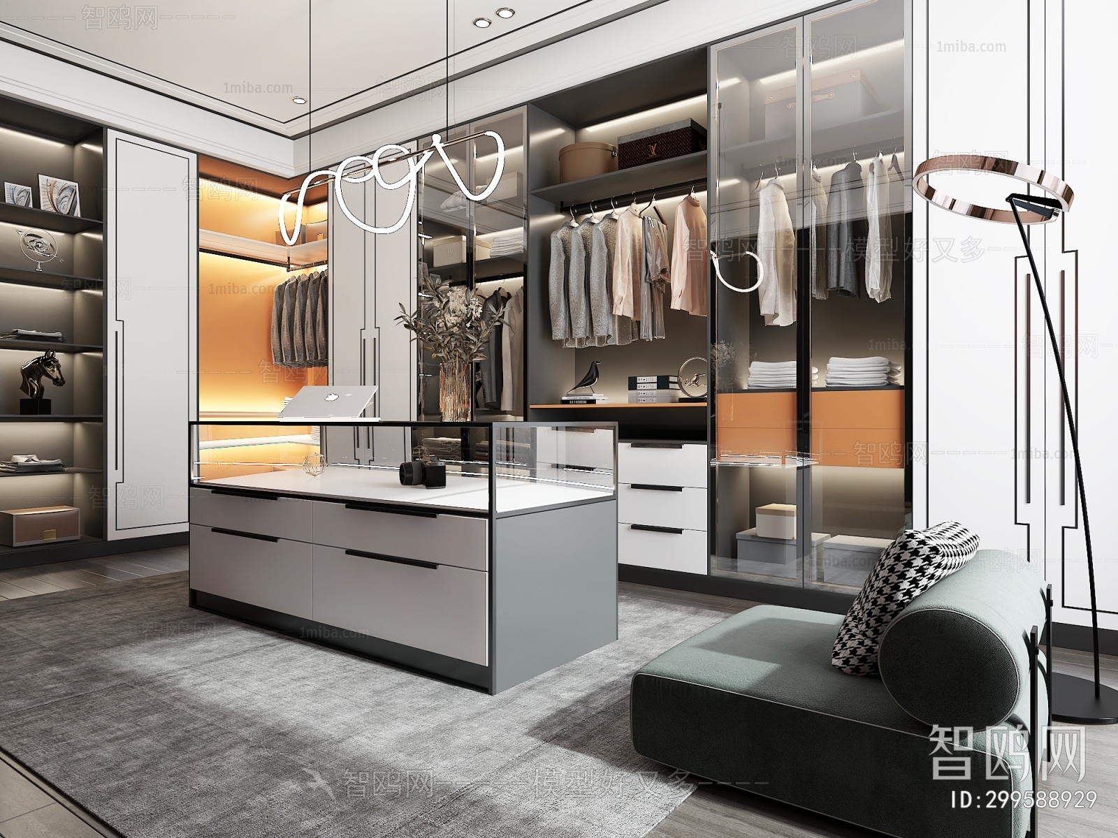 Modern Clothes Storage Area