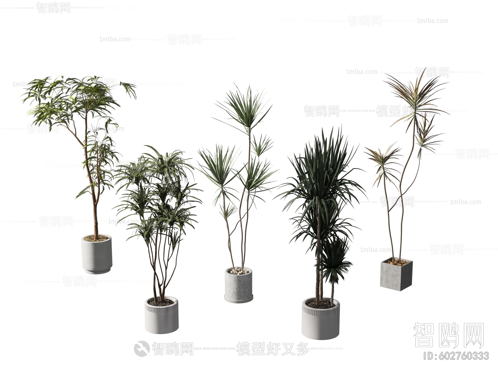 Modern Ground Green Plant Potted Plants