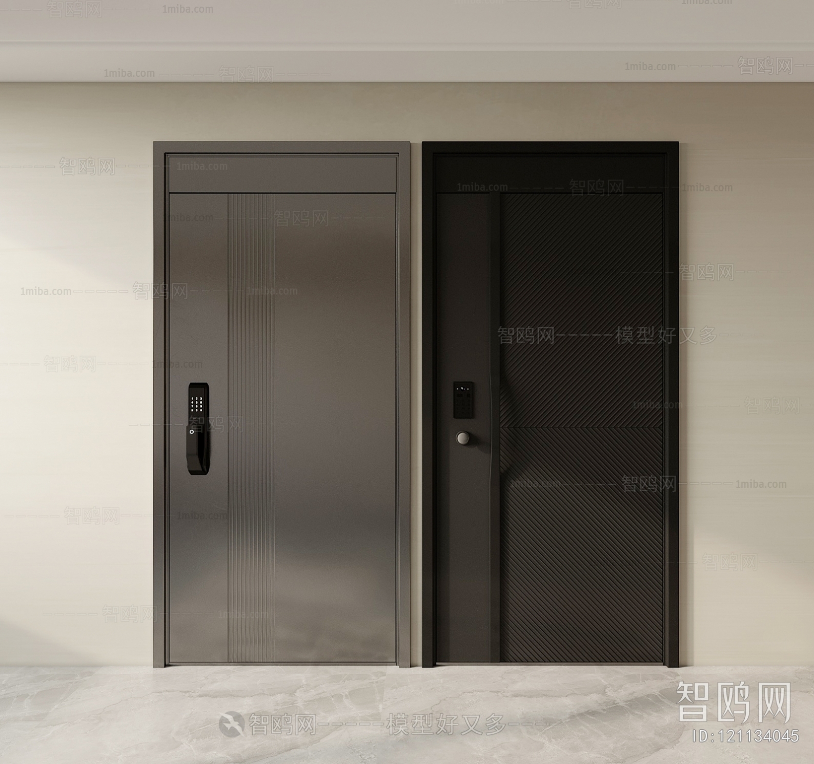 Modern Entrance Door