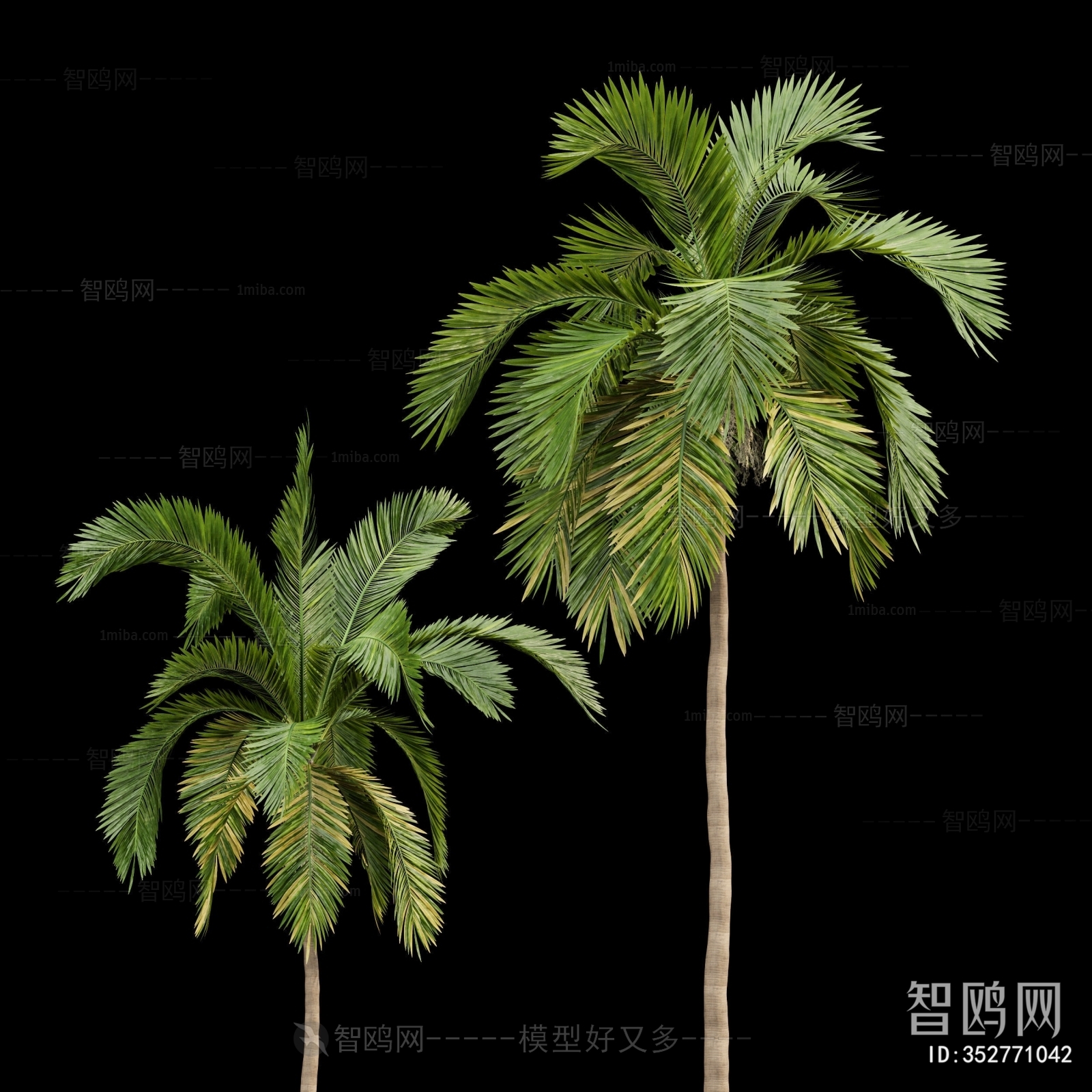现代棕榈树椰子树