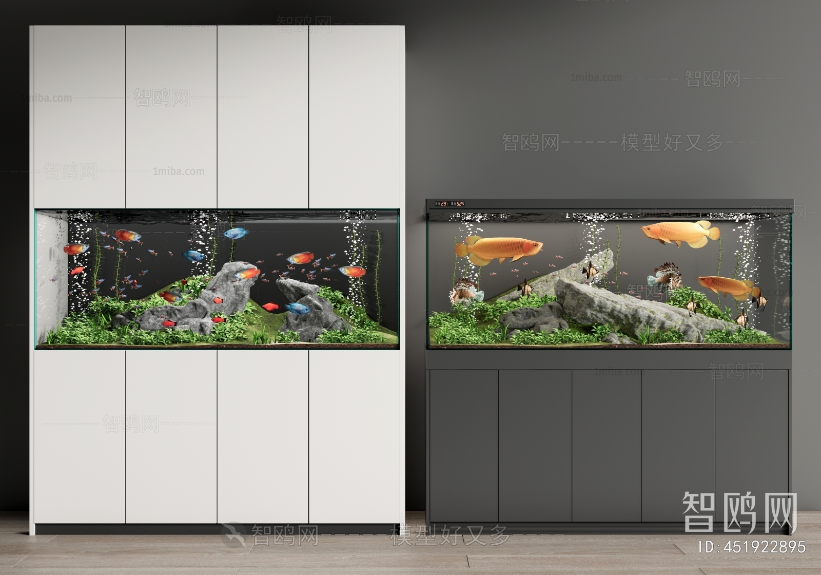 Modern Fish Tank