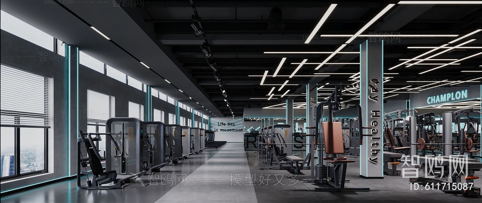 Industrial Style Gym