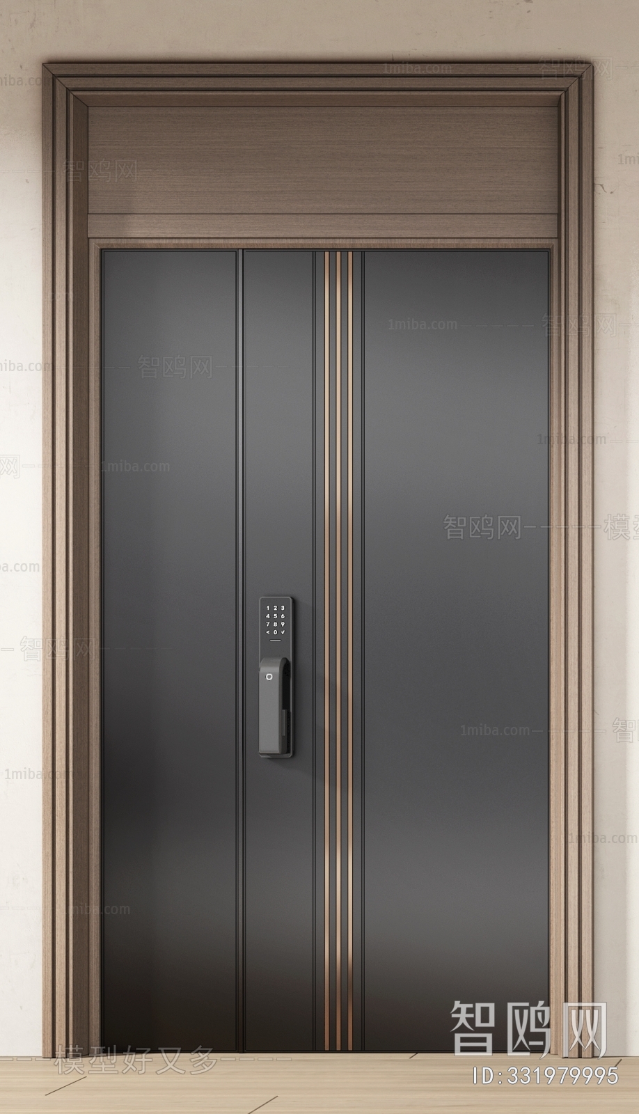 Modern Entrance Door