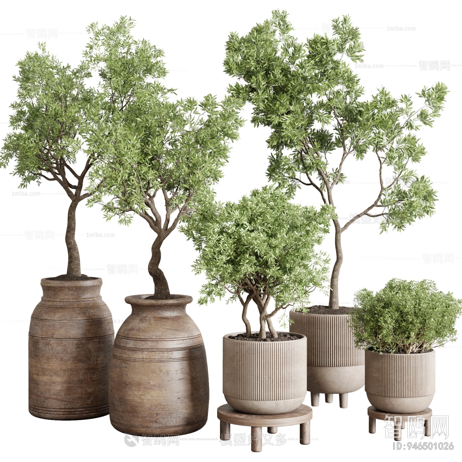 Modern Ground Green Plant Potted Plants