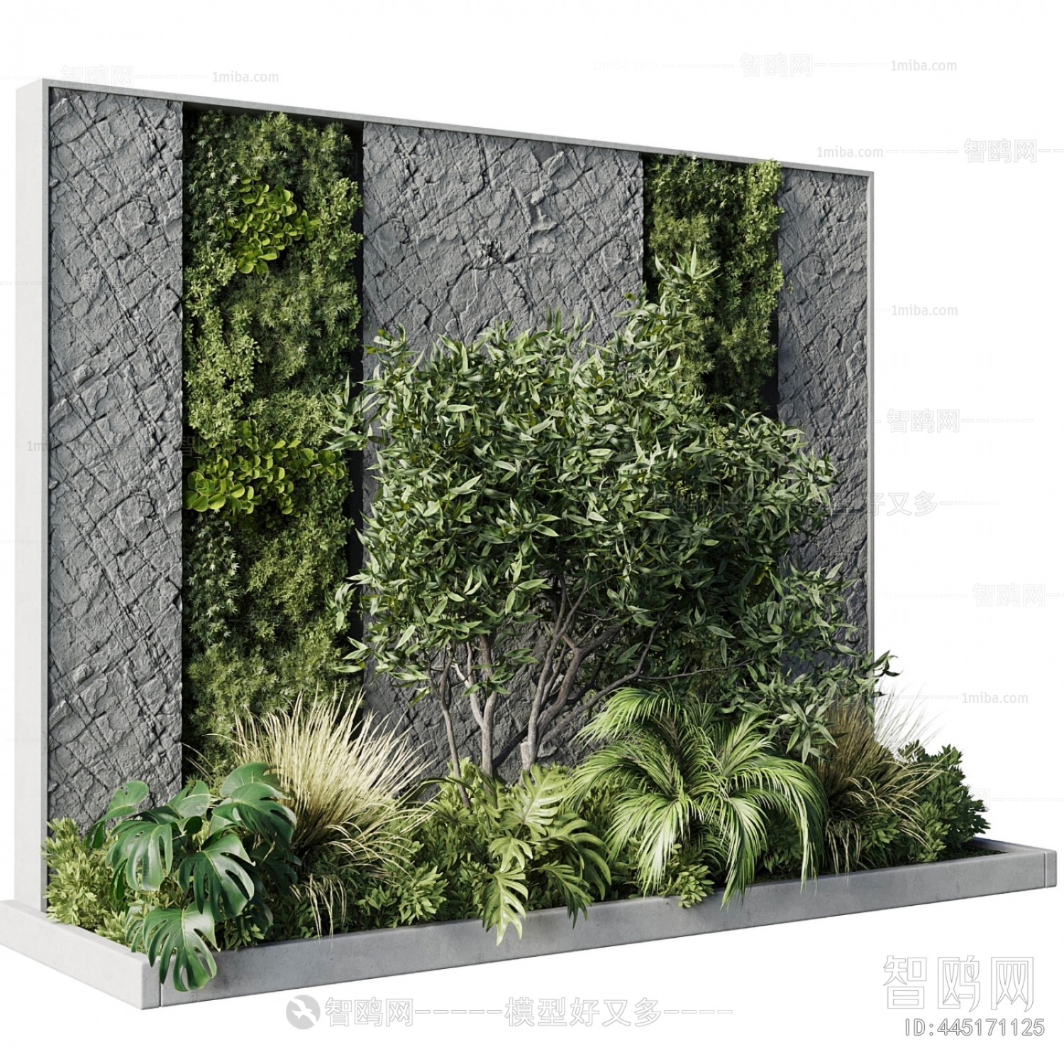 Modern Plant Landscaping