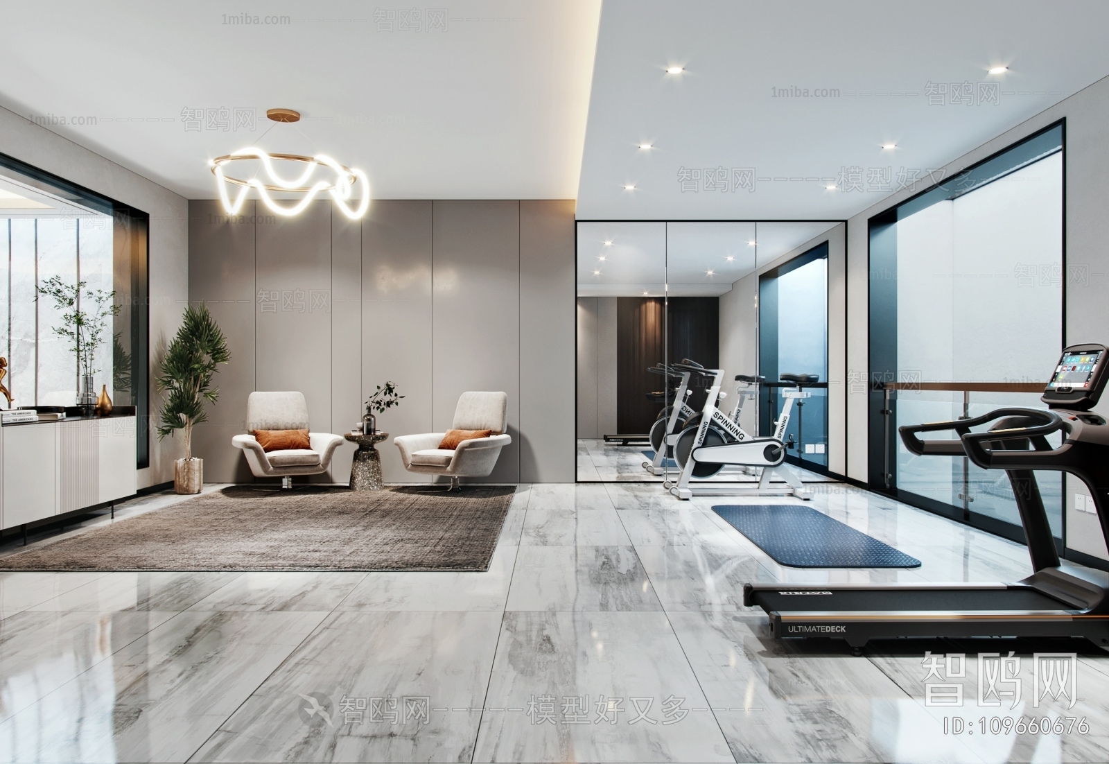 Modern Home Fitness Room