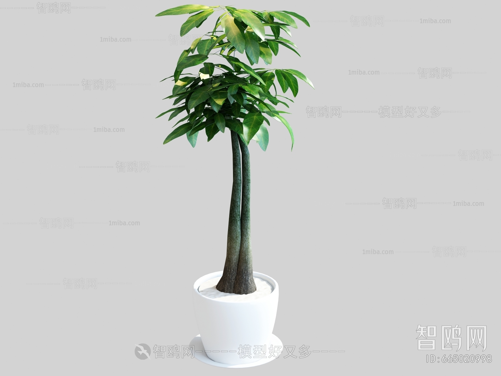 Modern Ground Green Plant Potted Plants