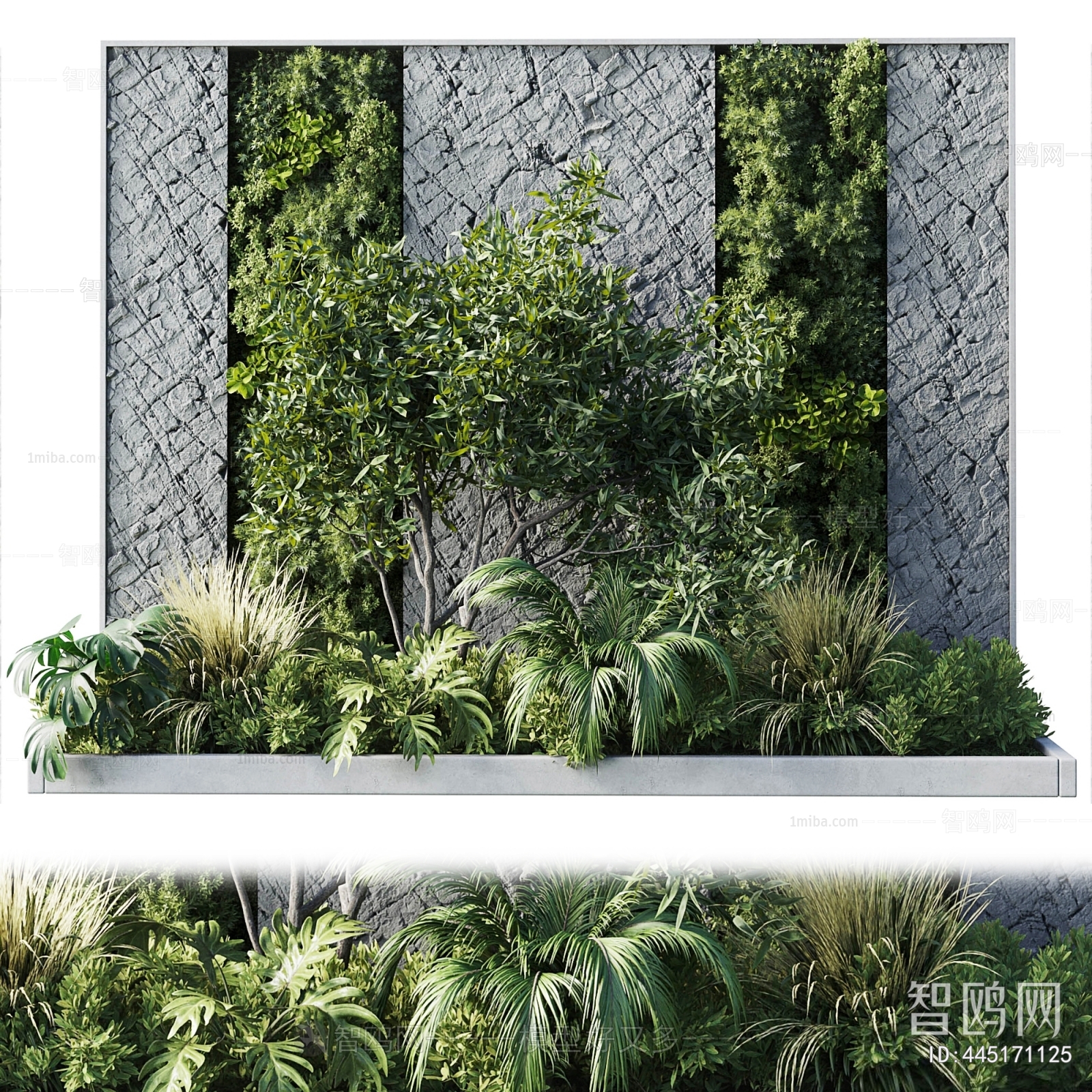 Modern Plant Landscaping