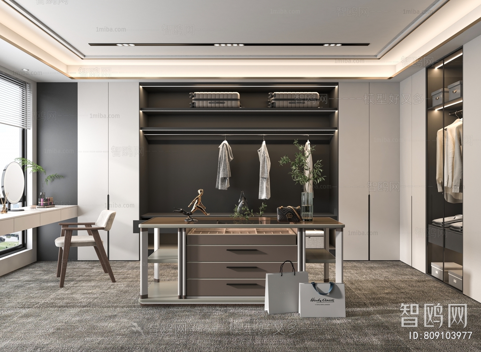 Modern Clothes Storage Area