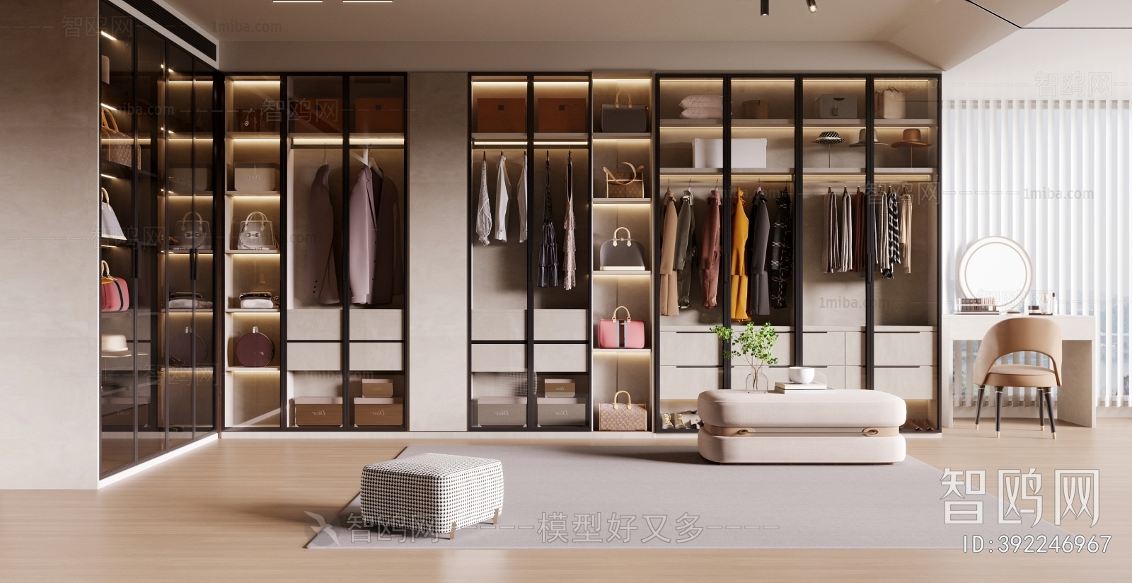 Modern Clothes Storage Area