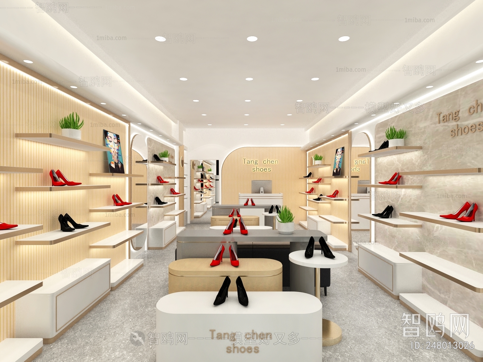 Modern Shoe Store
