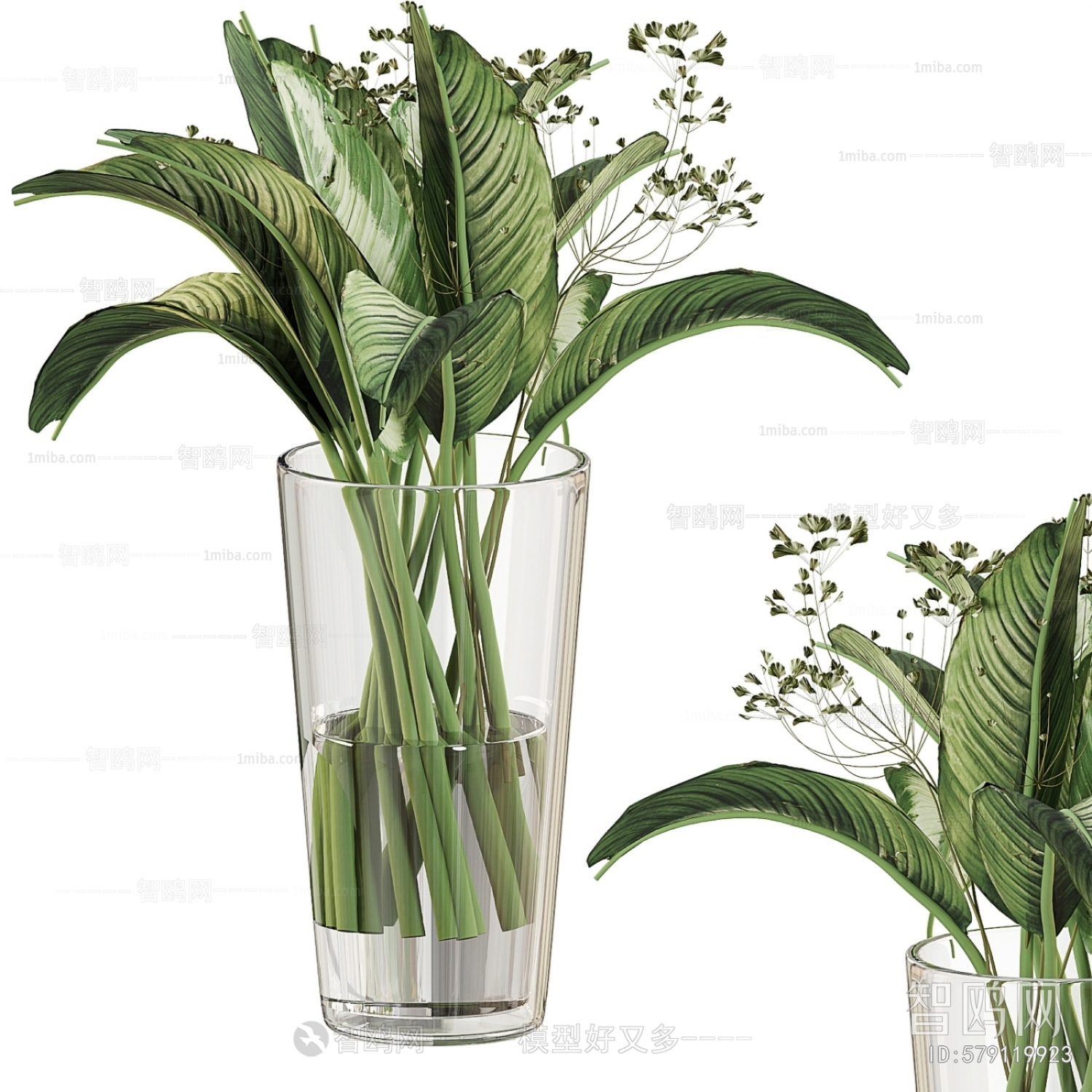 Modern Aquatic Green Plant