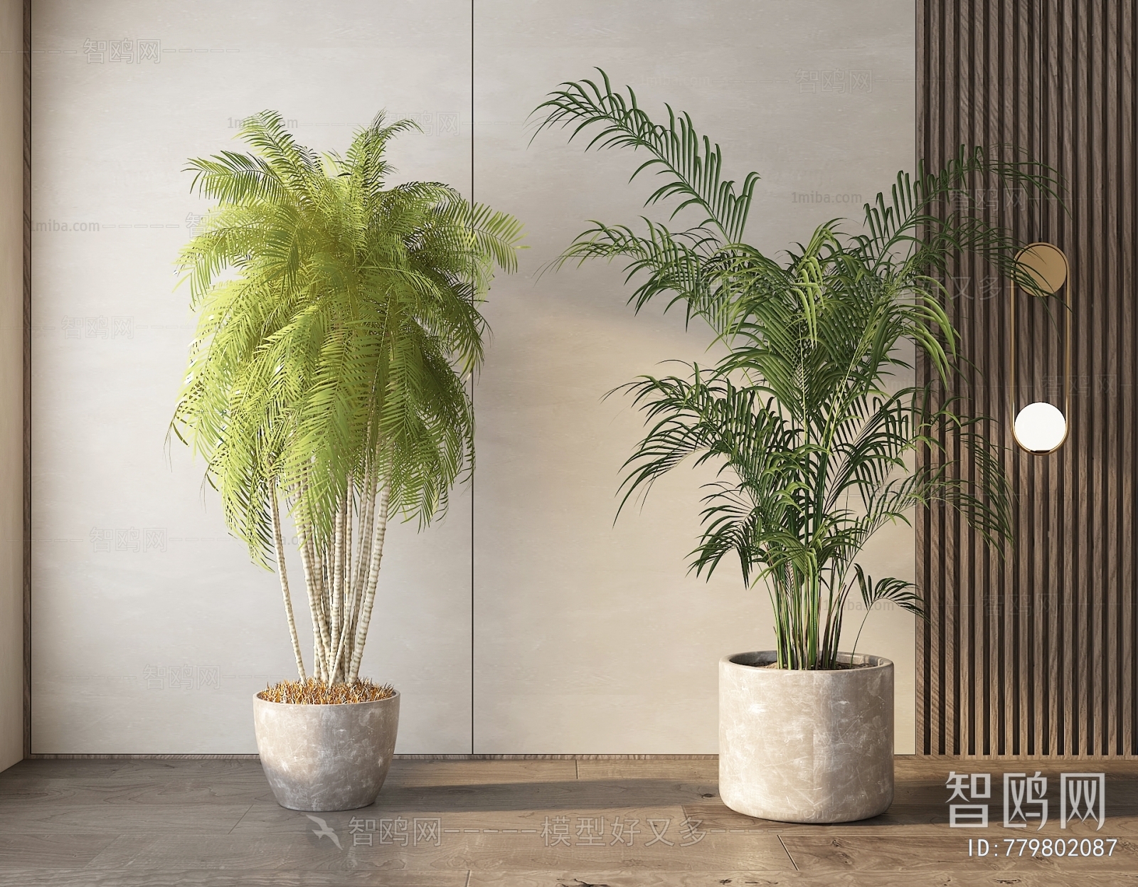 Modern Ground Green Plant Potted Plants