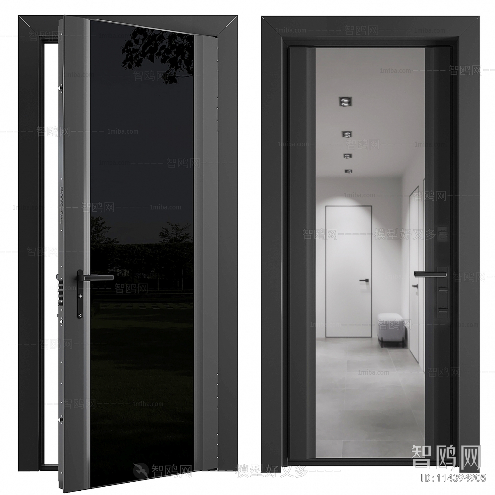 Modern Entrance Door