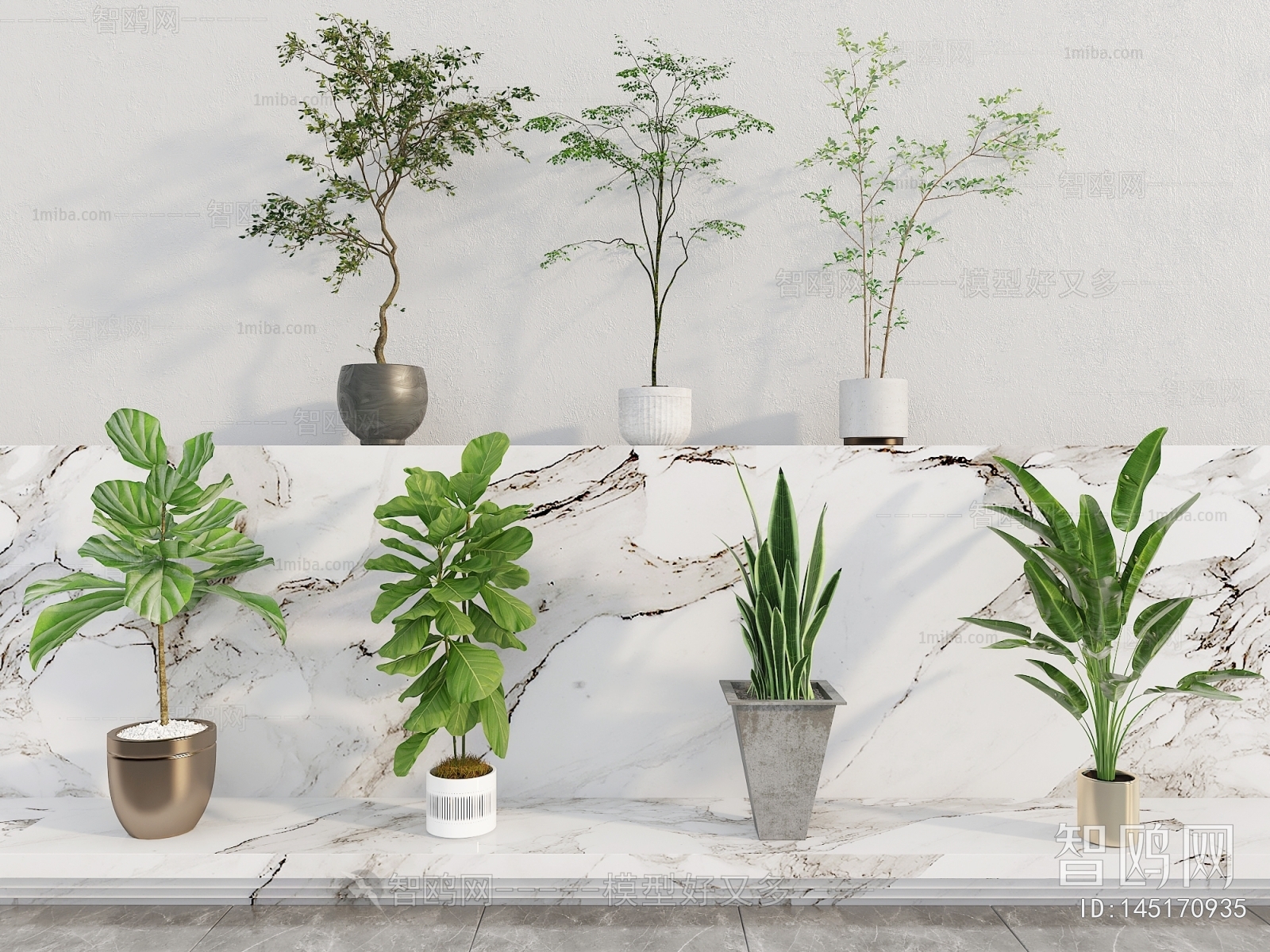 Modern Ground Green Plant Potted Plants