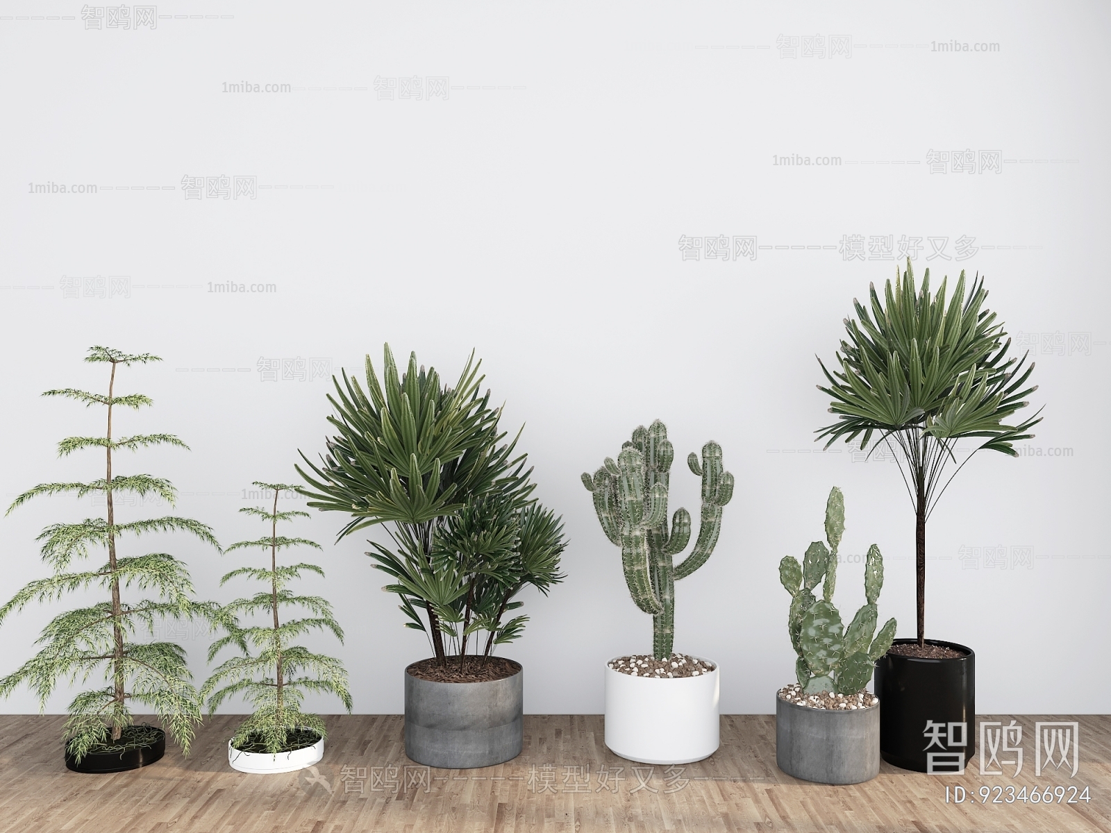 Modern Ground Green Plant Potted Plants