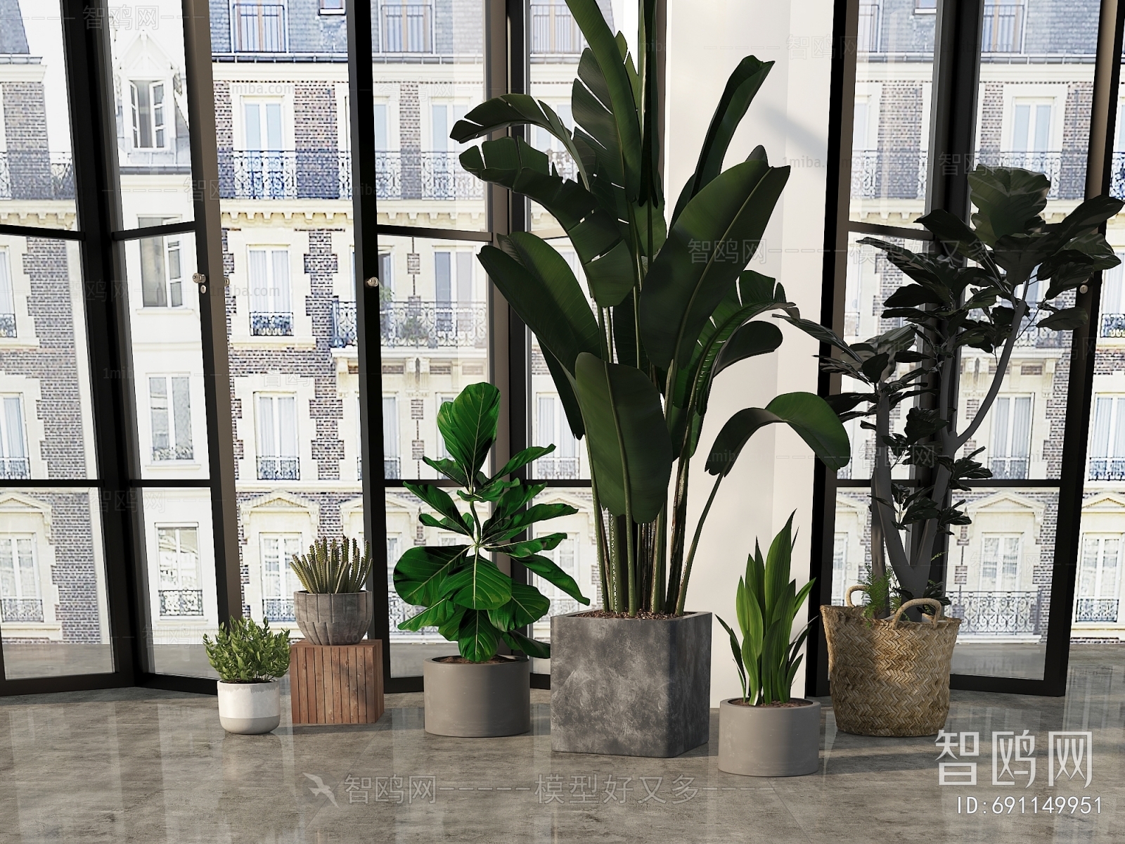 Modern Ground Green Plant Potted Plants