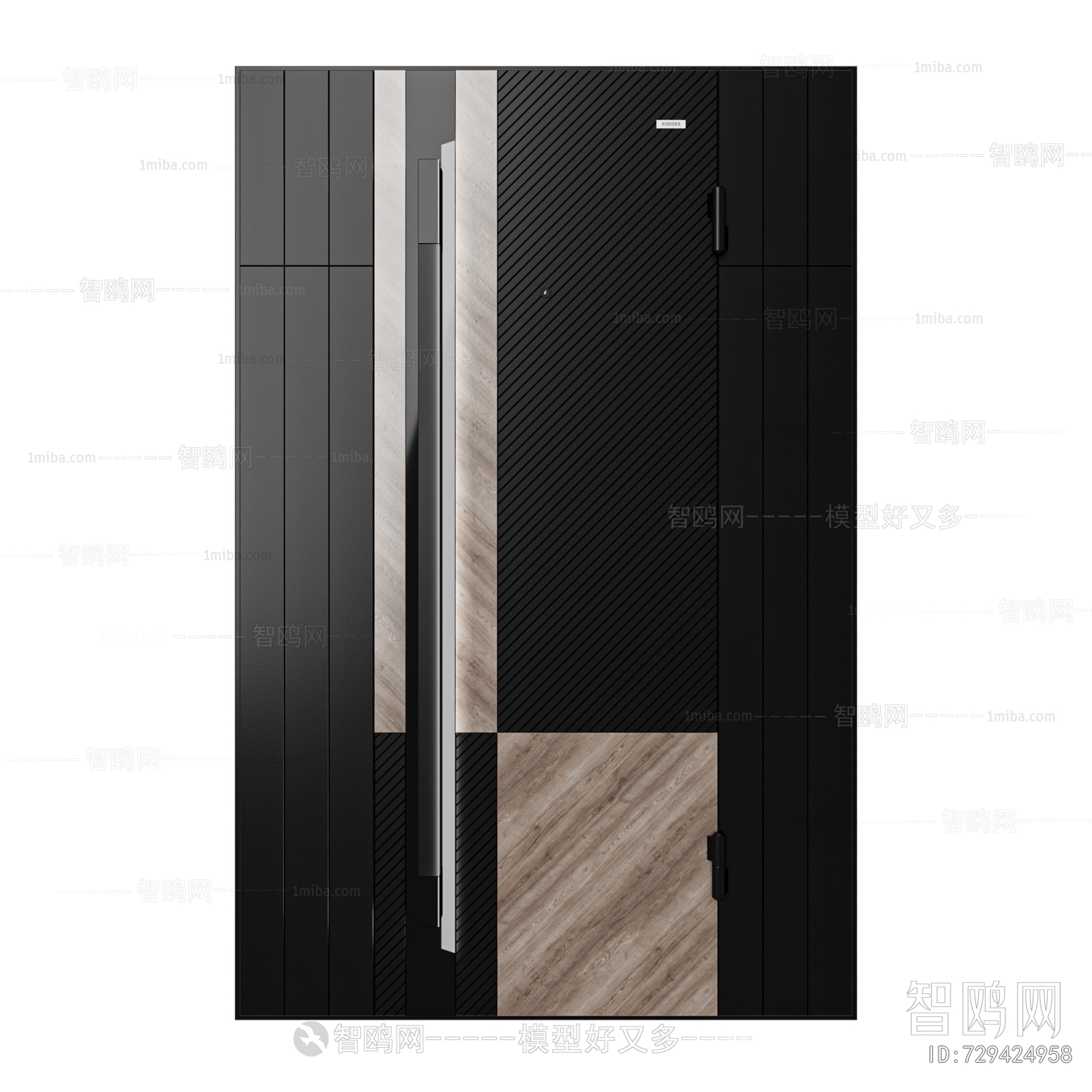 Modern Entrance Door