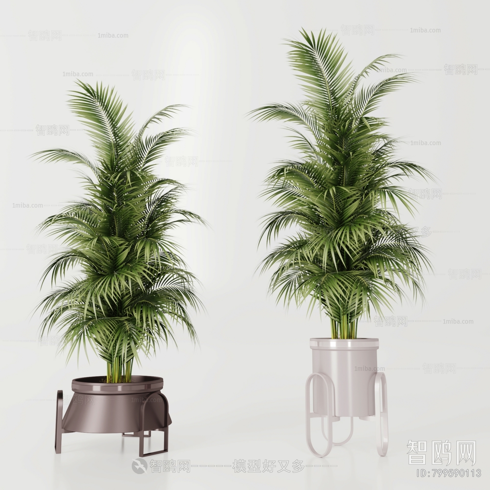 Modern Ground Green Plant Potted Plants