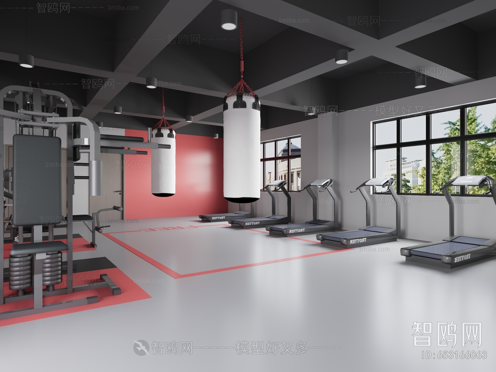 Industrial Style Gym