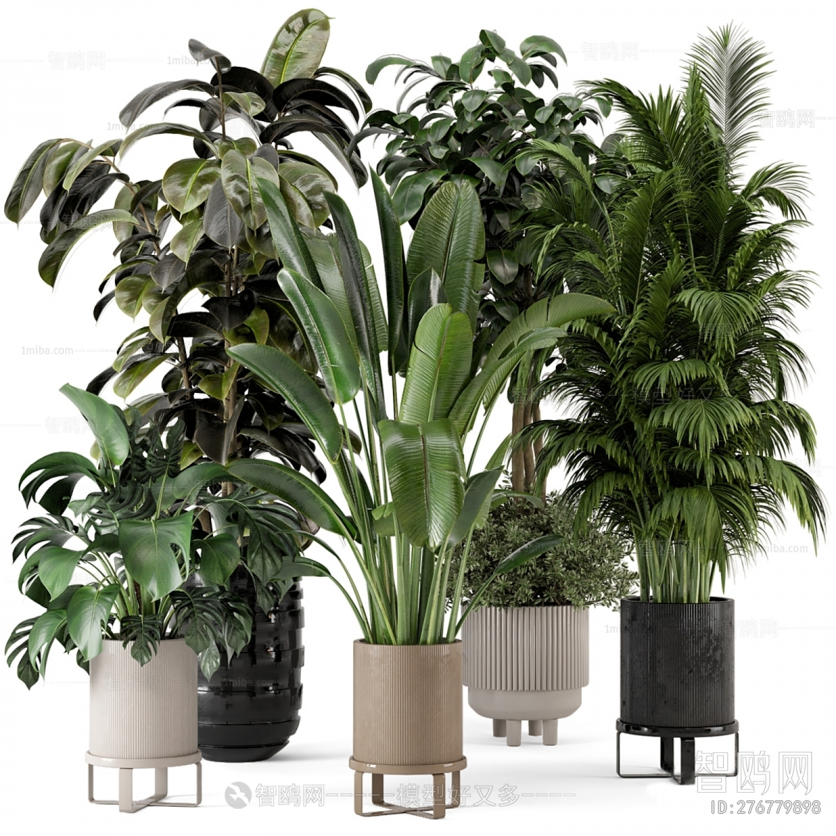 Modern Ground Green Plant Potted Plants