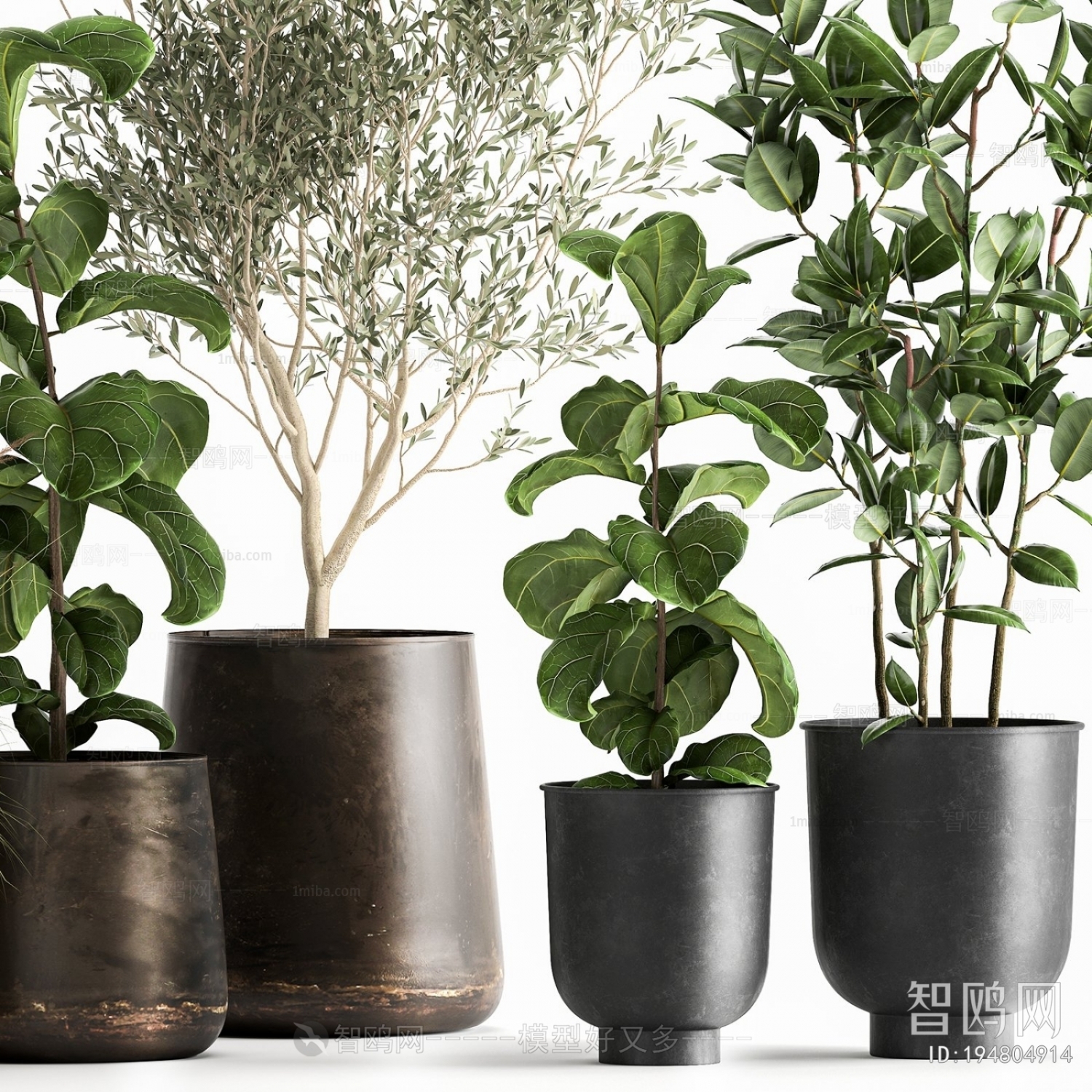 Modern Ground Green Plant Potted Plants