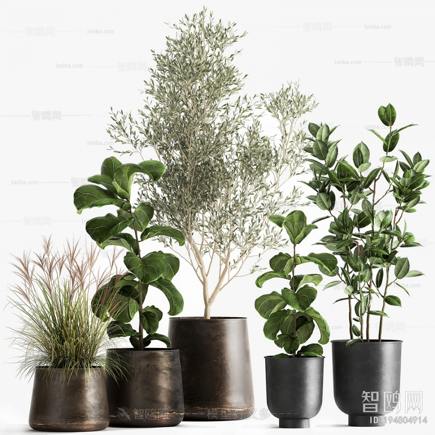 Modern Ground Green Plant Potted Plants