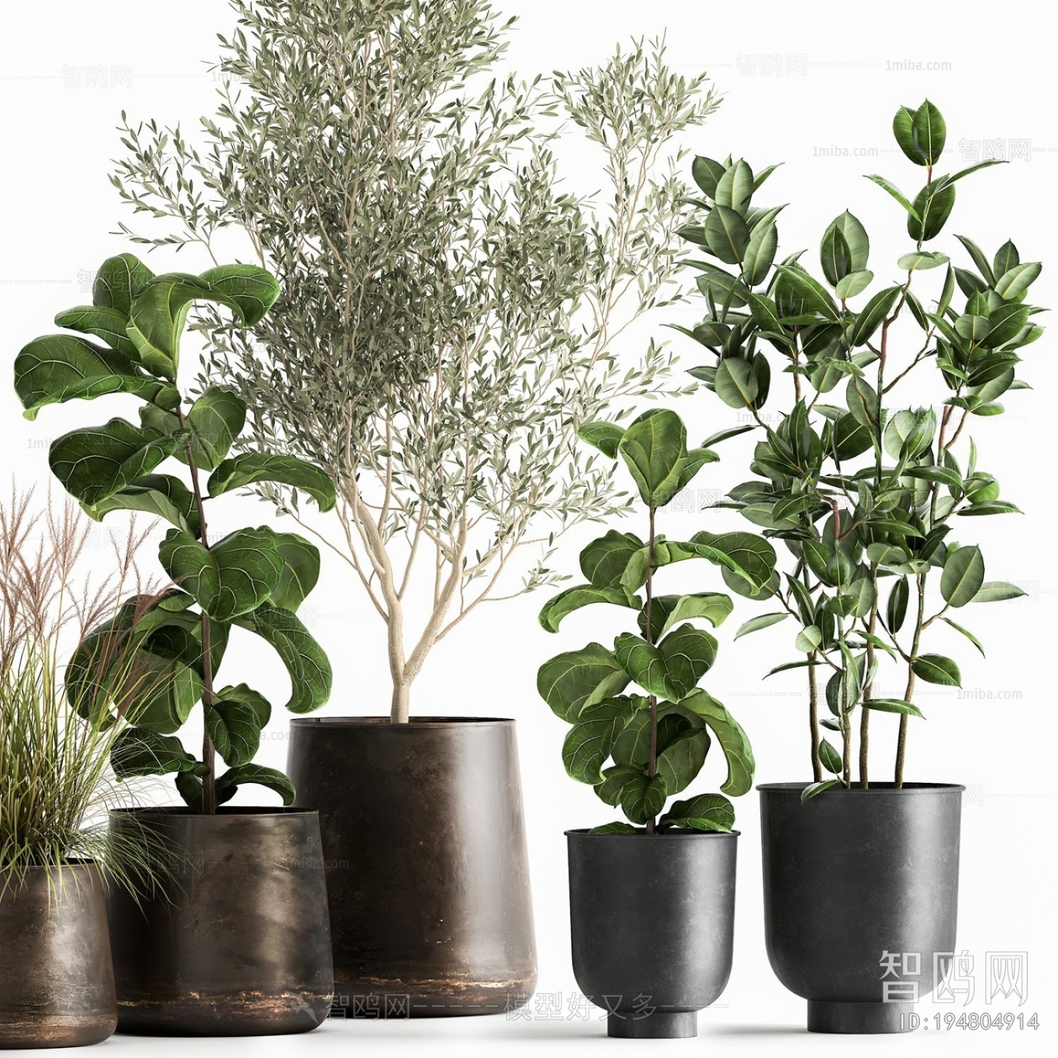 Modern Ground Green Plant Potted Plants