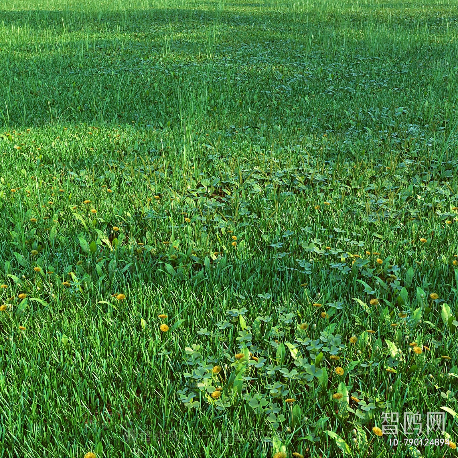 Modern Flowers And Grass