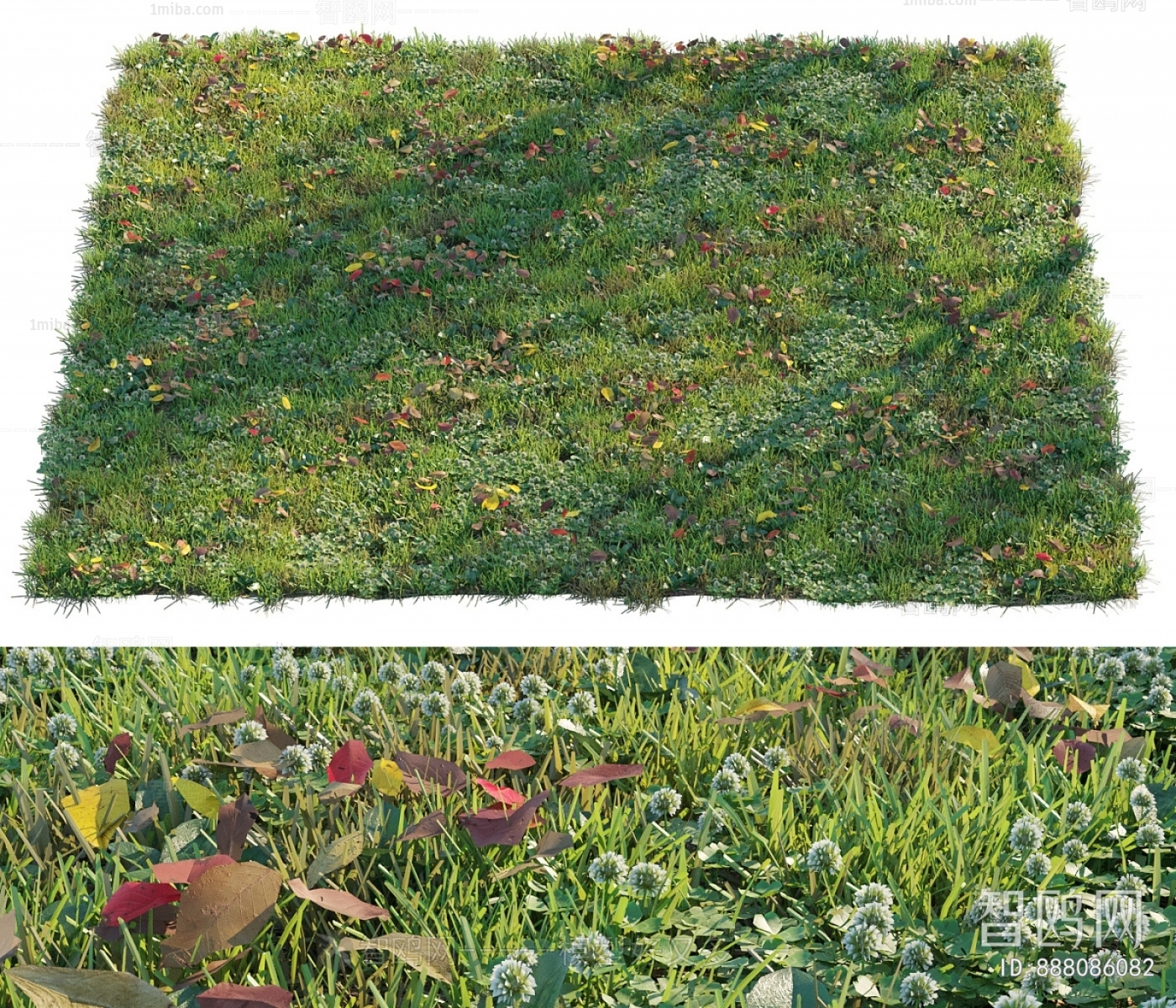 Modern Flowers And Grass