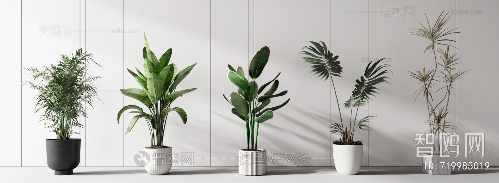 Modern Potted Green Plant