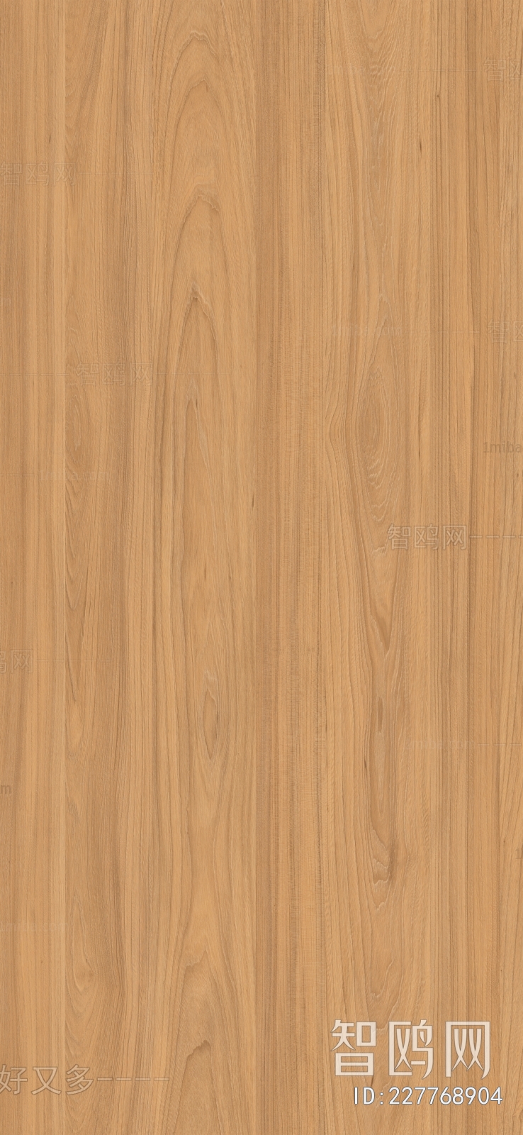 Wood Texture