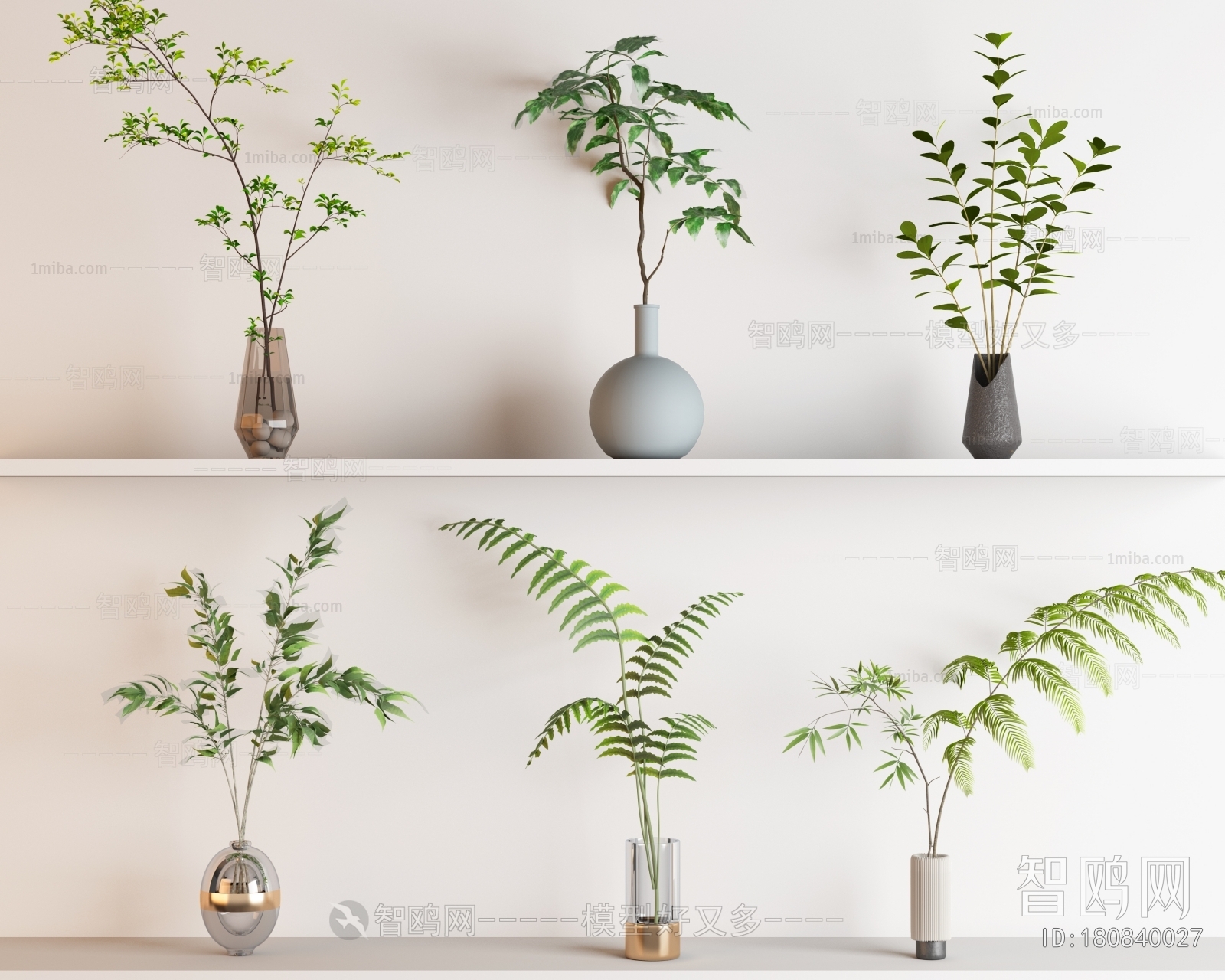 Collection dried plants 3D model