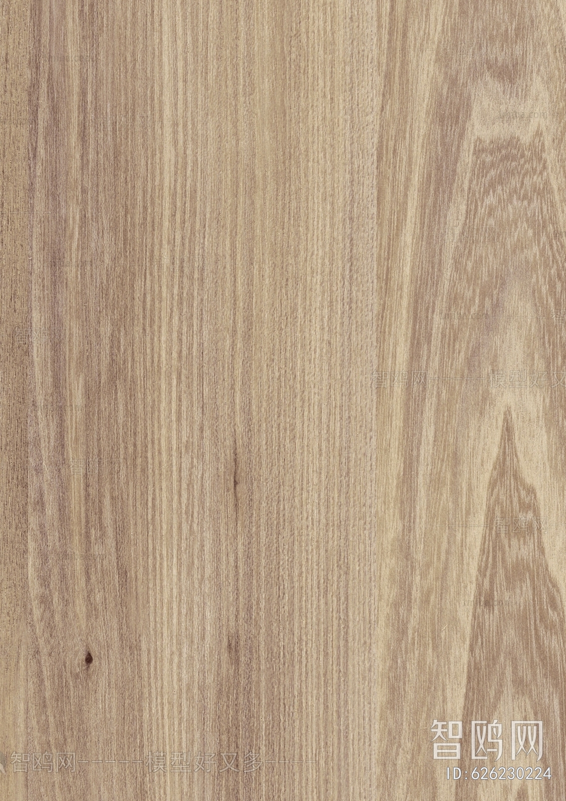 Wood Texture