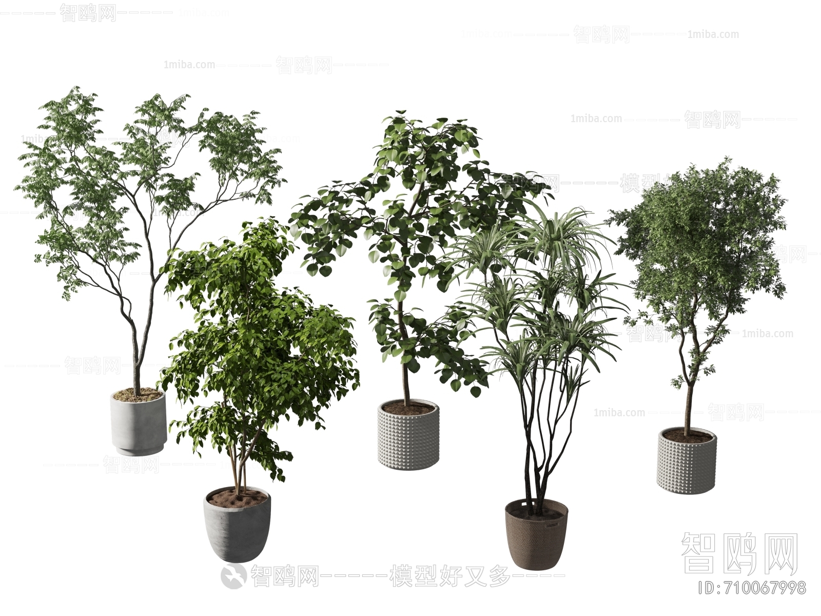 Modern Ground Green Plant Potted Plants