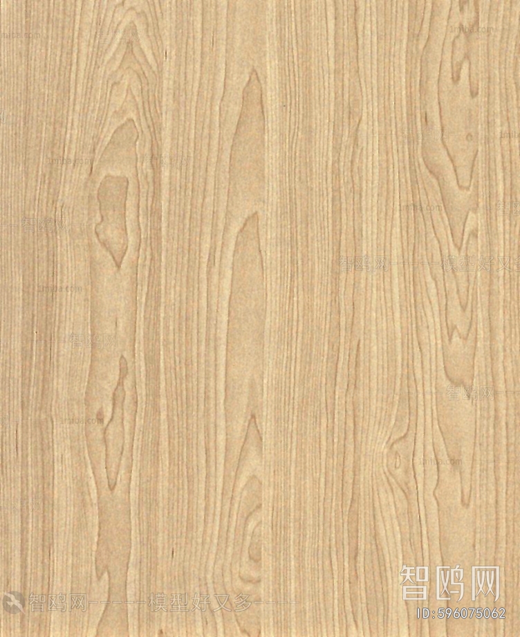 Wood Texture