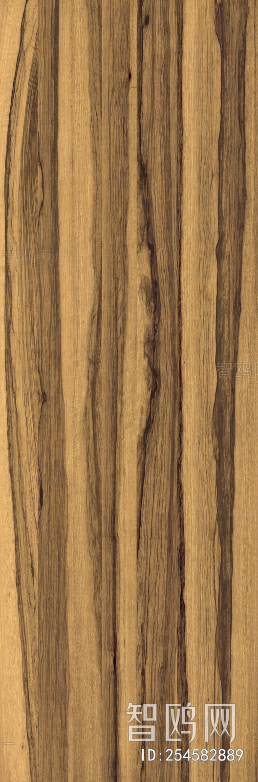 Wood Texture