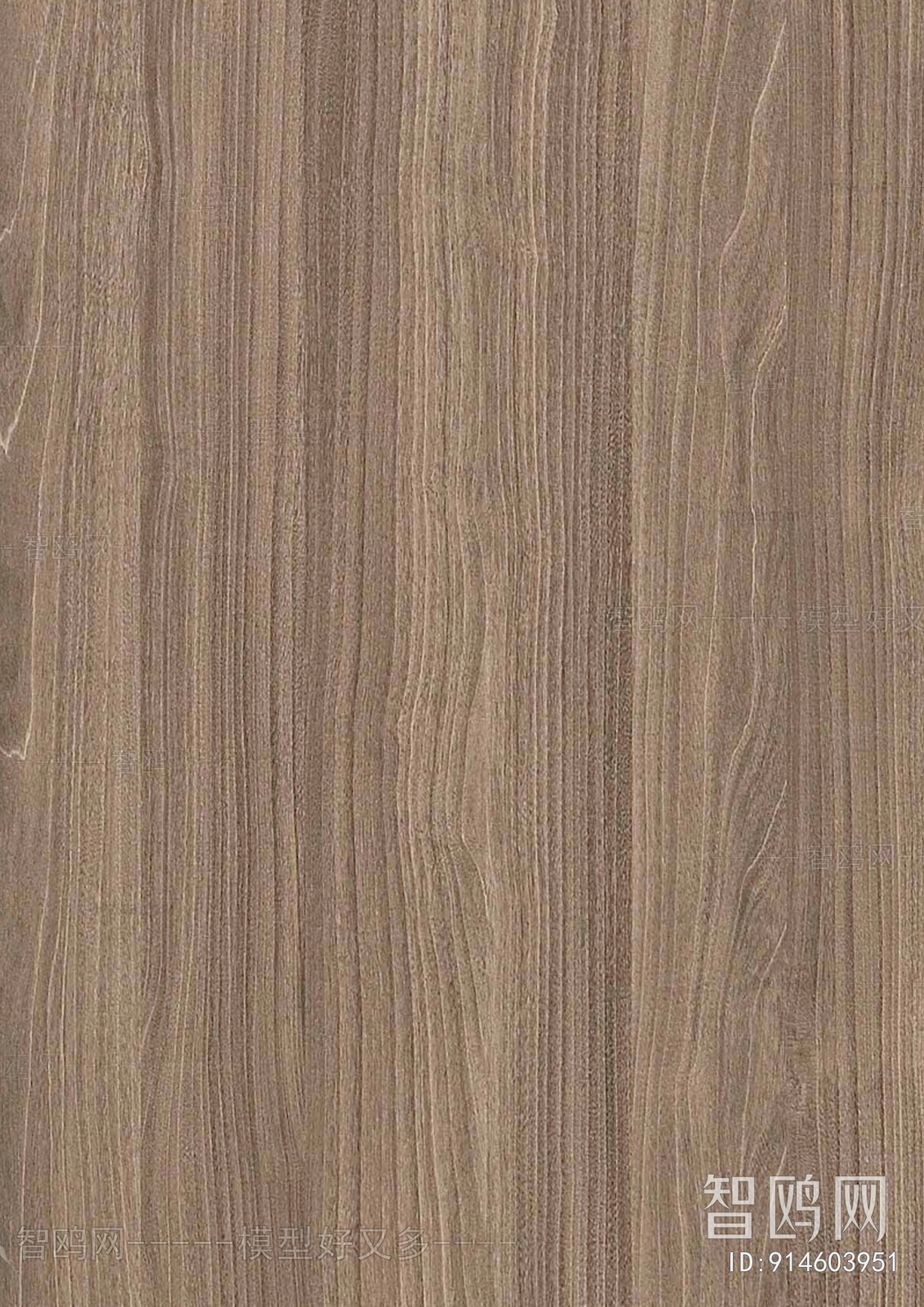 Wood Texture