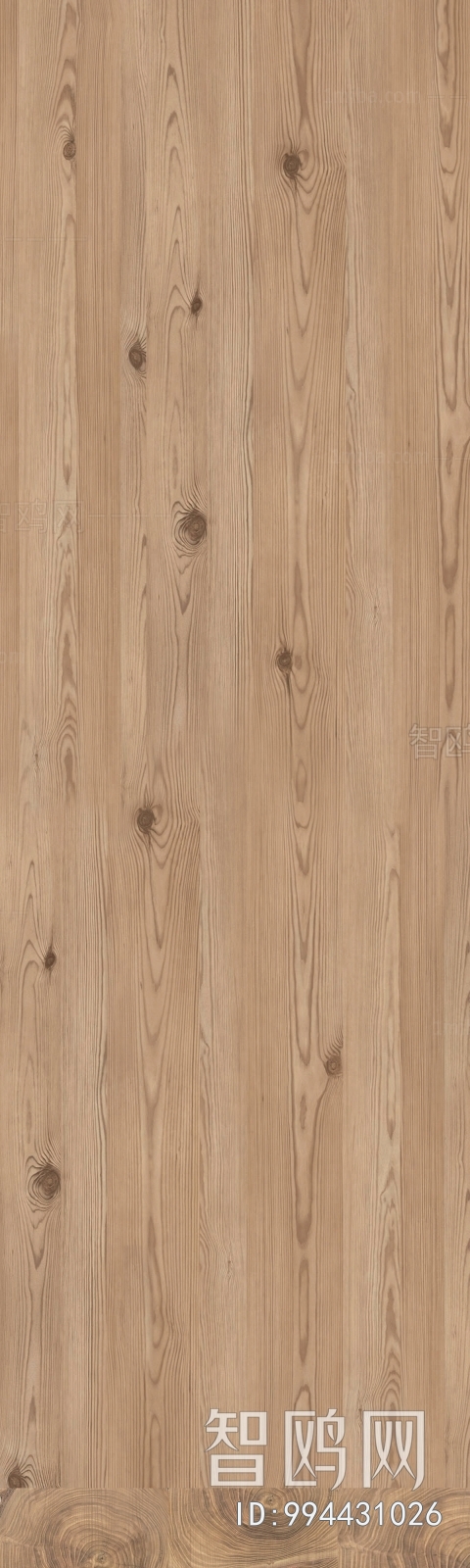 Wood Texture