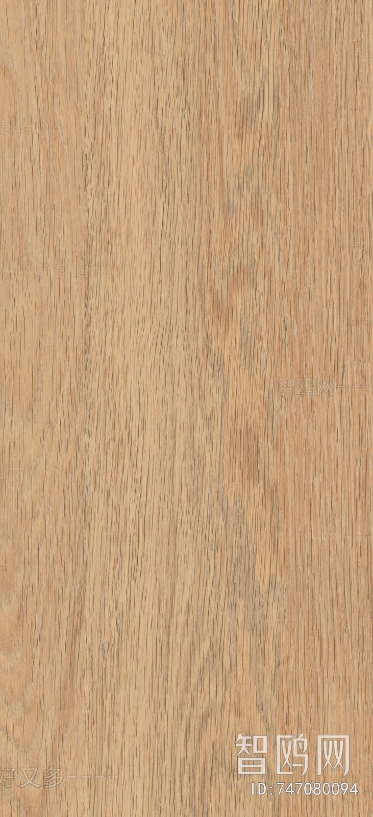 Wood Texture