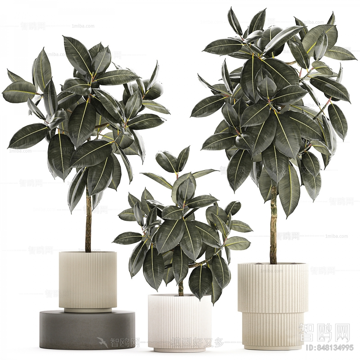 Modern Ground Green Plant Potted Plants