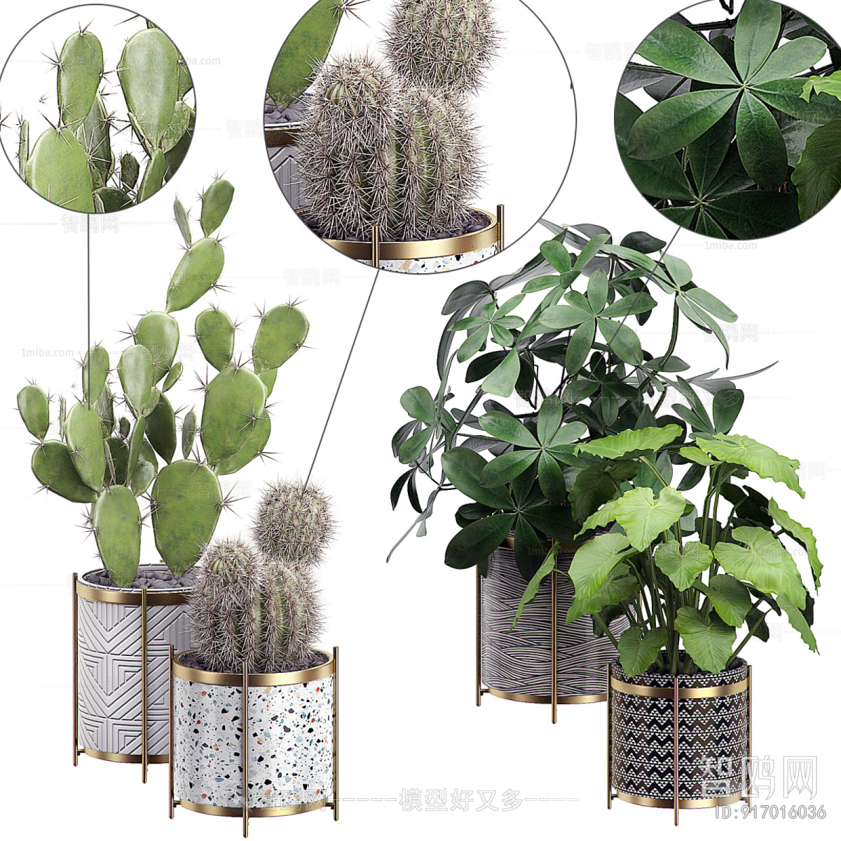 Modern Ground Green Plant Potted Plants