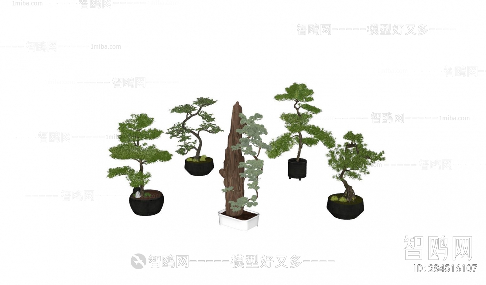 New Chinese Style Ground Green Plant Potted Plants