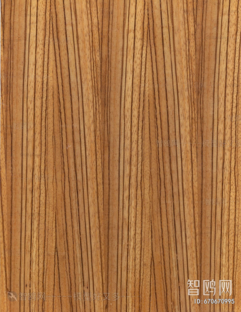 Wood Texture