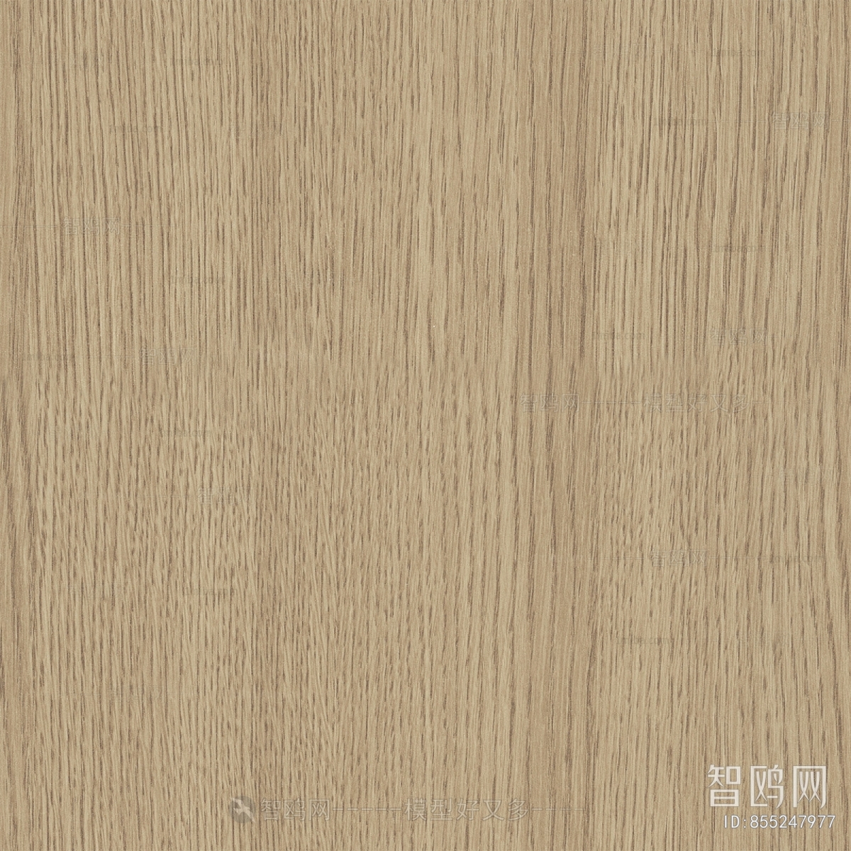 Wood Texture